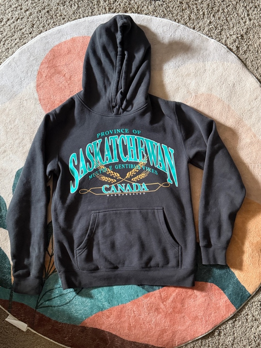 HARDPRESSED Sask. graphic hoodie. UNISEX sz. Small